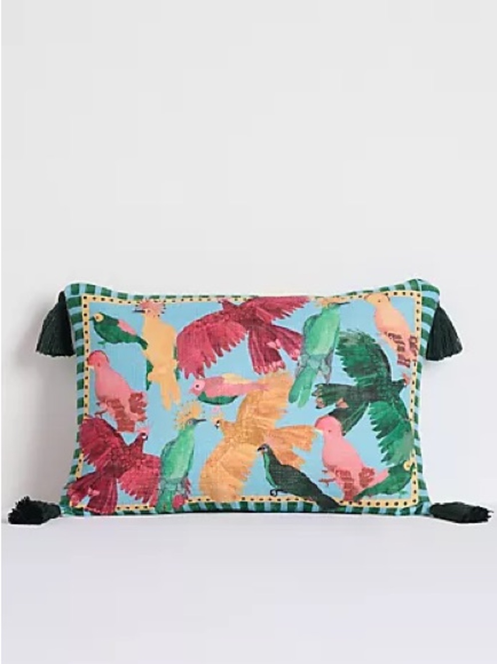 New Farm Rio x Anthropologie Cotton Printed Tassel Outdoor Cushion Throw Pillow